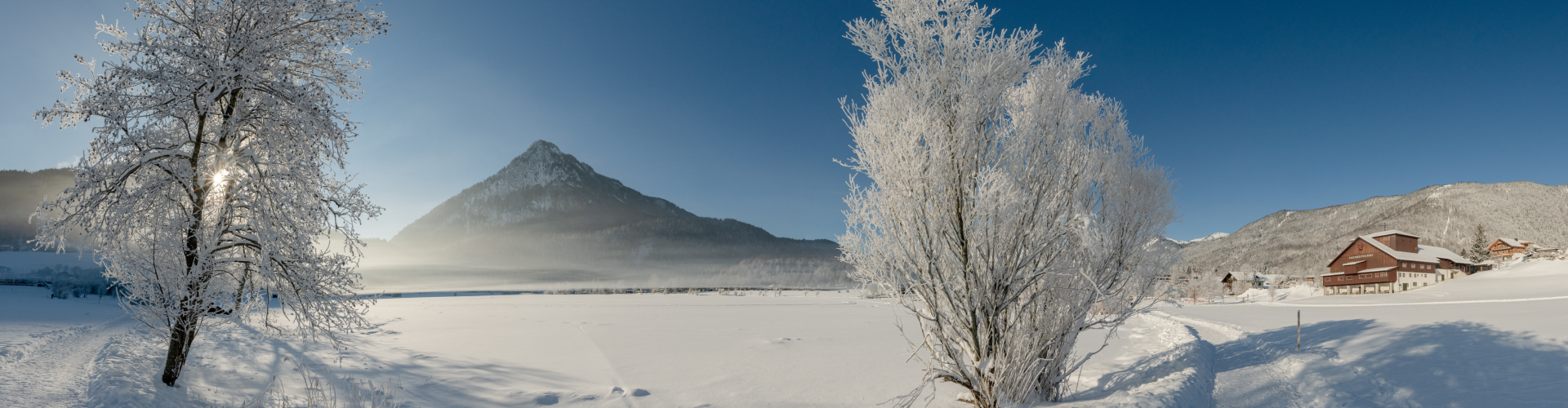 Eine verschneite Landschaft mit Bäumen und einem Berg im Hintergrund